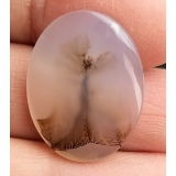 Dendritic Agate Ring Stone