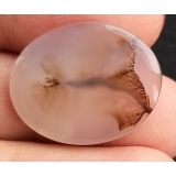 Dendritic Agate Ring Stone