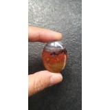 Red Moss Agate Oval Cabocbon